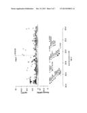 GENETIC RISK FACTORS OF SICK SINUS SYNDROME diagram and image