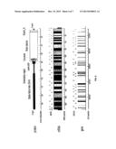 GENETIC RISK FACTORS OF SICK SINUS SYNDROME diagram and image