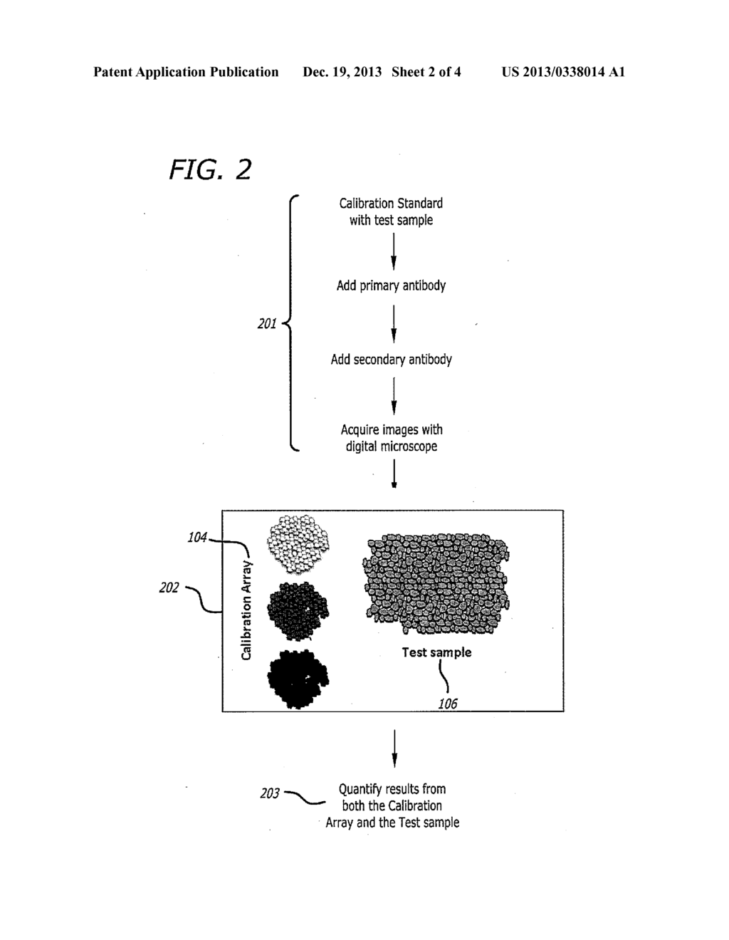 Calibration Standards For Digital Histocytometry - diagram, schematic, and image 03