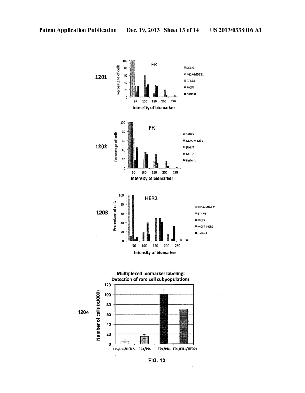 Method For Integrated Pathology Diagnosis And Digital Biomarker Pattern     Analysis - diagram, schematic, and image 14