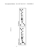 METHODS AND COMPOSITIONS FOR THE DETECTION OF COMPLICATIONS OF DIABETES diagram and image