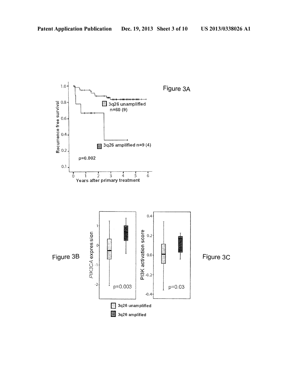 Prognostic Marker for Endometrial Carcinoma - diagram, schematic, and image 04