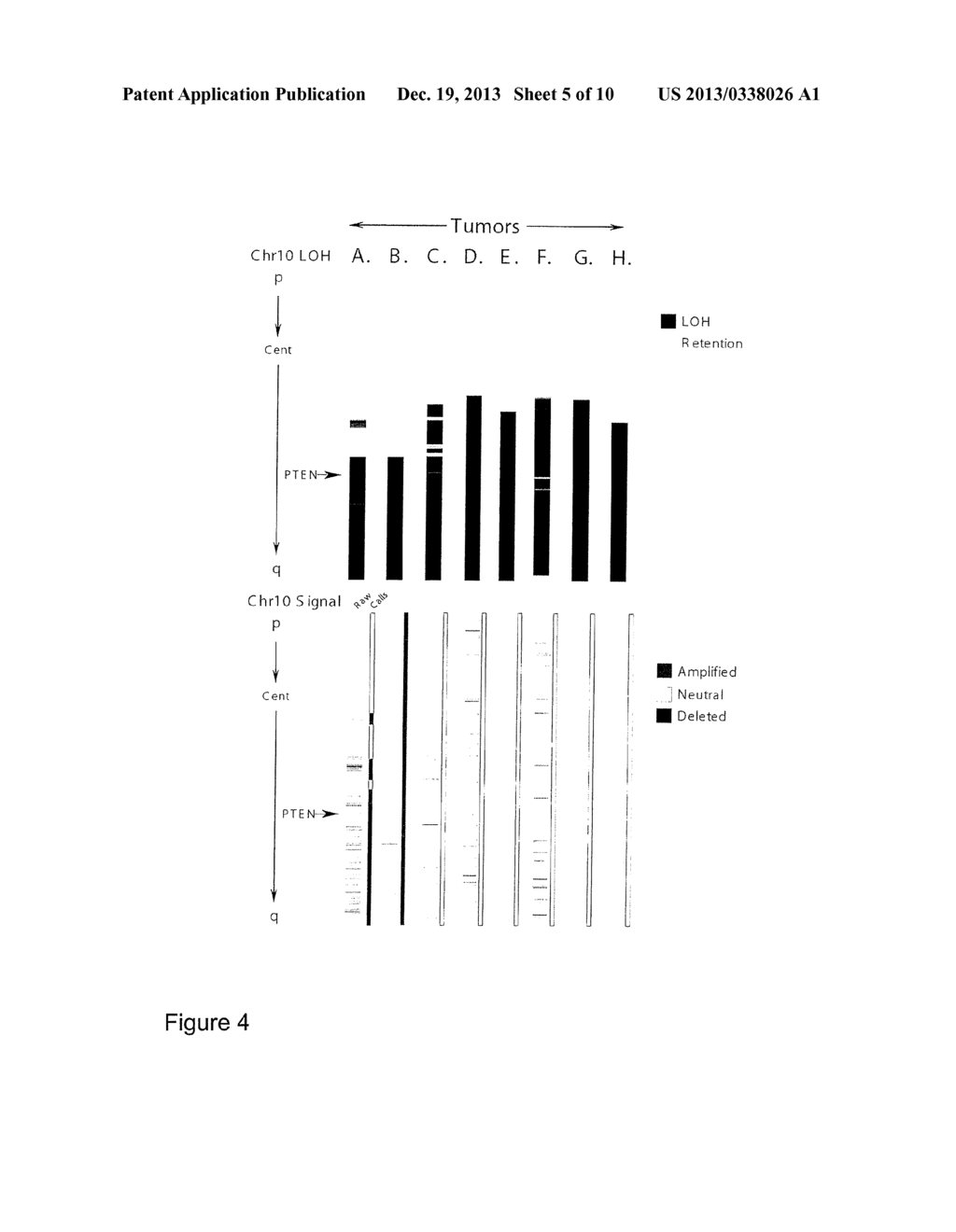 Prognostic Marker for Endometrial Carcinoma - diagram, schematic, and image 06