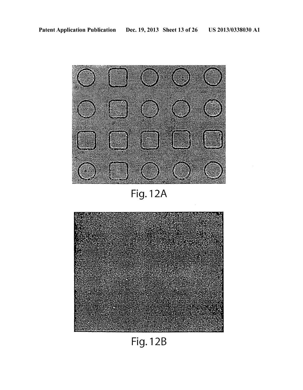 SCREENING ASSAYS AND METHODS - diagram, schematic, and image 14