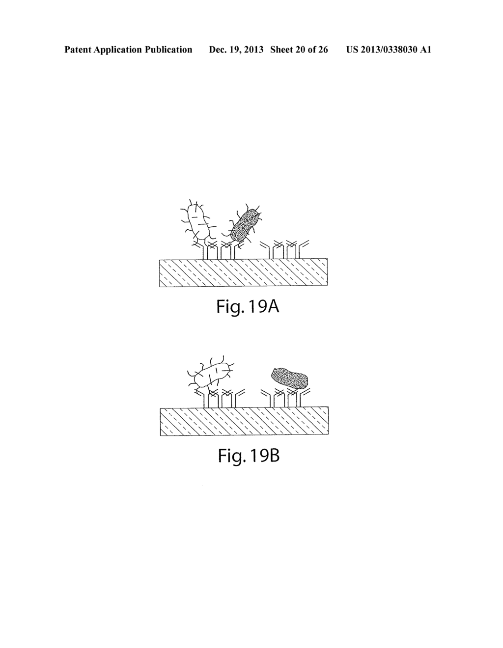 SCREENING ASSAYS AND METHODS - diagram, schematic, and image 21