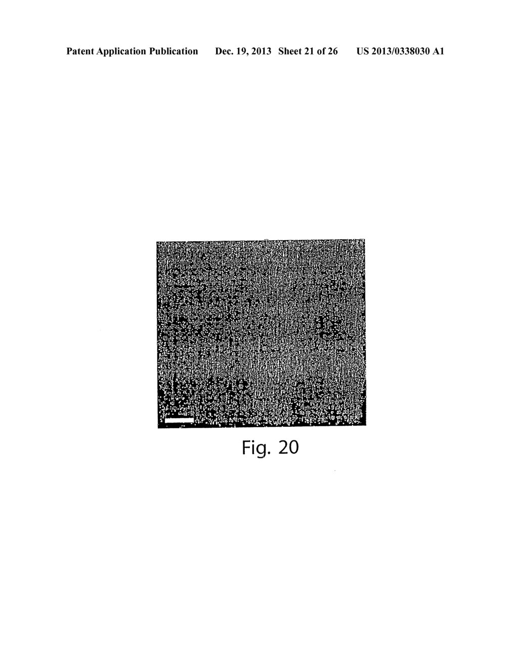 SCREENING ASSAYS AND METHODS - diagram, schematic, and image 22