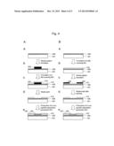 NUCLEIC ACID ANALYSIS DEVICE AND NUCLEIC ACID ANALYZER diagram and image