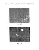 SCREENING ASSAYS AND METHODS diagram and image