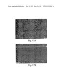 SCREENING ASSAYS AND METHODS diagram and image