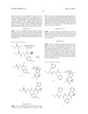 COMPOUNDS FOR ENZYME INHIBITION diagram and image