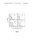 Preparation of a Therapeutic Composition diagram and image