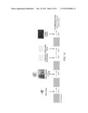 COMPOUNDS AND METHODS FOR TARGETING LEUKEMIC STEM CELLS diagram and image