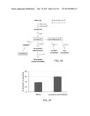 COMPOUNDS AND METHODS FOR TARGETING LEUKEMIC STEM CELLS diagram and image