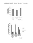 COMPOUNDS AND METHODS FOR TARGETING LEUKEMIC STEM CELLS diagram and image