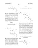 3-Substituted-4-Oxo-3,4-Dihydro-Imidazo[5,1-d]1,2,3,5-Tetrazine-8-Carboxyl-    ic Acid Amides and Their Use diagram and image