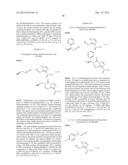 3-Substituted-4-Oxo-3,4-Dihydro-Imidazo[5,1-d]1,2,3,5-Tetrazine-8-Carboxyl-    ic Acid Amides and Their Use diagram and image