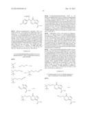 3-Substituted-4-Oxo-3,4-Dihydro-Imidazo[5,1-d]1,2,3,5-Tetrazine-8-Carboxyl-    ic Acid Amides and Their Use diagram and image