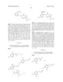 3-Substituted-4-Oxo-3,4-Dihydro-Imidazo[5,1-d]1,2,3,5-Tetrazine-8-Carboxyl-    ic Acid Amides and Their Use diagram and image