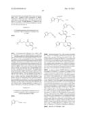 3-Substituted-4-Oxo-3,4-Dihydro-Imidazo[5,1-d]1,2,3,5-Tetrazine-8-Carboxyl-    ic Acid Amides and Their Use diagram and image