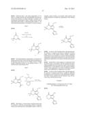 COMPOUNDS INHIBITING LEUCINE-RICH REPEAT KINASE ENZYME ACTIVITY diagram and image