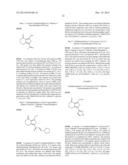 COMPOUNDS INHIBITING LEUCINE-RICH REPEAT KINASE ENZYME ACTIVITY diagram and image