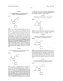 COMPOUNDS INHIBITING LEUCINE-RICH REPEAT KINASE ENZYME ACTIVITY diagram and image