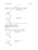 COMPOUNDS INHIBITING LEUCINE-RICH REPEAT KINASE ENZYME ACTIVITY diagram and image