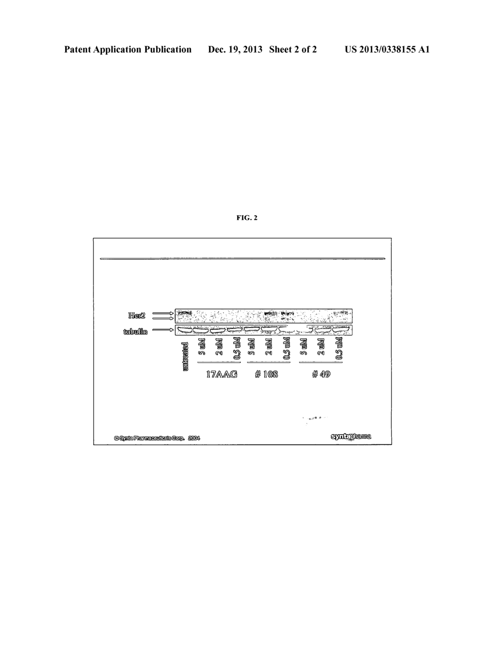 METHOD FOR TREATING INFECTIONS - diagram, schematic, and image 03