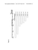 NOVEL REPRESSOR ON IFN-LAMBDA PROMOTER AND SIRNA AGAINST ZEB1 AND BLIMP-1     TO INCREASE IFN-LAMBDA GENE ACTIVITY diagram and image