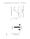 NOVEL REPRESSOR ON IFN-LAMBDA PROMOTER AND SIRNA AGAINST ZEB1 AND BLIMP-1     TO INCREASE IFN-LAMBDA GENE ACTIVITY diagram and image