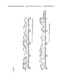 NOVEL REPRESSOR ON IFN-LAMBDA PROMOTER AND SIRNA AGAINST ZEB1 AND BLIMP-1     TO INCREASE IFN-LAMBDA GENE ACTIVITY diagram and image