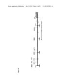 NOVEL REPRESSOR ON IFN-LAMBDA PROMOTER AND SIRNA AGAINST ZEB1 AND BLIMP-1     TO INCREASE IFN-LAMBDA GENE ACTIVITY diagram and image