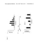 NOVEL REPRESSOR ON IFN-LAMBDA PROMOTER AND SIRNA AGAINST ZEB1 AND BLIMP-1     TO INCREASE IFN-LAMBDA GENE ACTIVITY diagram and image