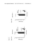 NOVEL REPRESSOR ON IFN-LAMBDA PROMOTER AND SIRNA AGAINST ZEB1 AND BLIMP-1     TO INCREASE IFN-LAMBDA GENE ACTIVITY diagram and image