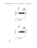 NOVEL REPRESSOR ON IFN-LAMBDA PROMOTER AND SIRNA AGAINST ZEB1 AND BLIMP-1     TO INCREASE IFN-LAMBDA GENE ACTIVITY diagram and image