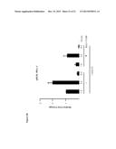 NOVEL REPRESSOR ON IFN-LAMBDA PROMOTER AND SIRNA AGAINST ZEB1 AND BLIMP-1     TO INCREASE IFN-LAMBDA GENE ACTIVITY diagram and image