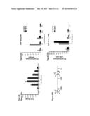 NOVEL REPRESSOR ON IFN-LAMBDA PROMOTER AND SIRNA AGAINST ZEB1 AND BLIMP-1     TO INCREASE IFN-LAMBDA GENE ACTIVITY diagram and image