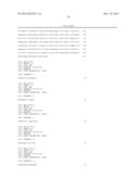 NOVEL REPRESSOR ON IFN-LAMBDA PROMOTER AND SIRNA AGAINST ZEB1 AND BLIMP-1     TO INCREASE IFN-LAMBDA GENE ACTIVITY diagram and image