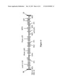 PROCESS FOR PRODUCING ETHYL ESTERS OF POLYUNSATURATED FATTY ACIDS diagram and image