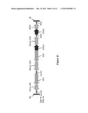 PROCESS FOR PRODUCING ETHYL ESTERS OF POLYUNSATURATED FATTY ACIDS diagram and image