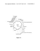 PROCESS FOR PRODUCING ETHYL ESTERS OF POLYUNSATURATED FATTY ACIDS diagram and image