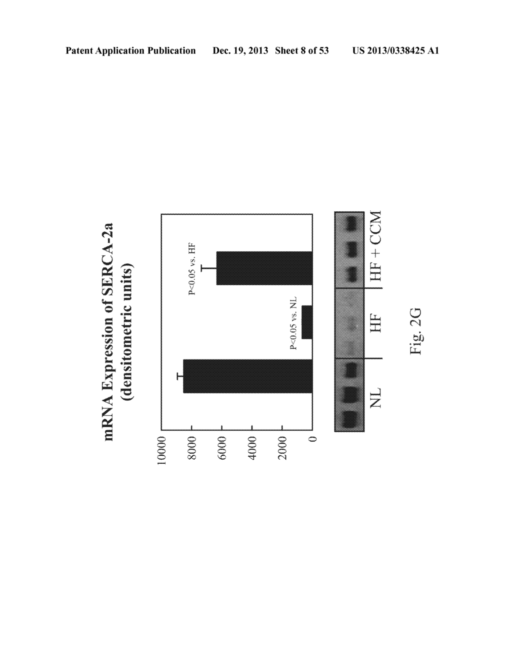 PROTEIN ACTIVITY MODIFICATION - diagram, schematic, and image 09