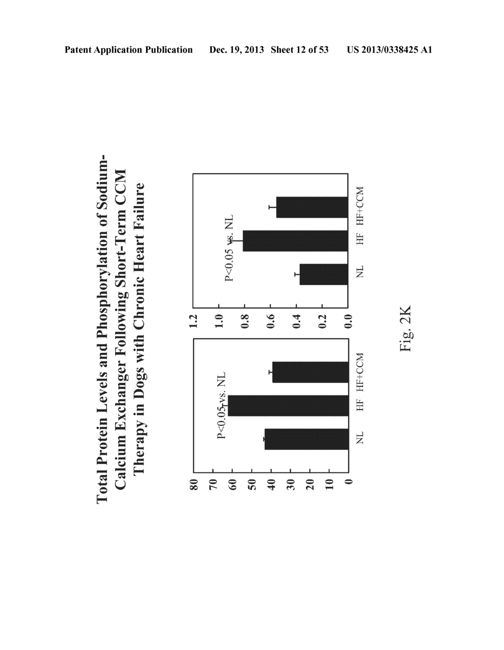 PROTEIN ACTIVITY MODIFICATION - diagram, schematic, and image 13