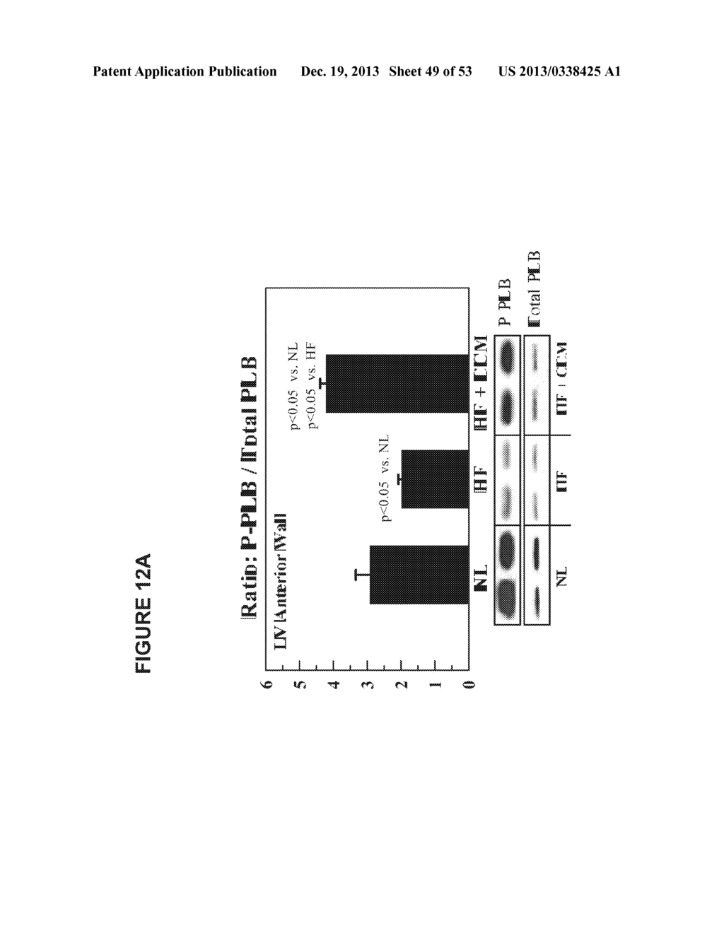 PROTEIN ACTIVITY MODIFICATION - diagram, schematic, and image 50