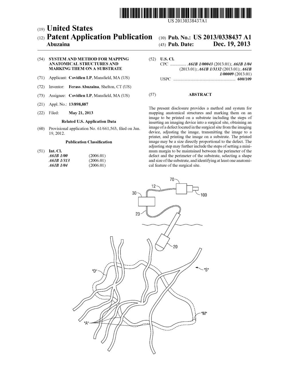 System and Method for Mapping Anatomical Structures and Marking Them on a     Substrate - diagram, schematic, and image 01