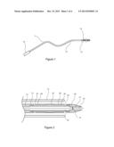 IMPLANTABLE OCCLUDER OR FILTER diagram and image