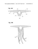 Biophysical Geoengineering Compositions and Methods diagram and image