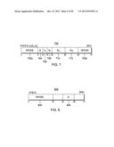 RANDOMIZED TESTING WITHIN TRANSACTIONAL EXECUTION diagram and image