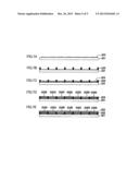 ORGANIC ELECTROLUMINESCENCE DEVICE, LIGHTING EQUIPMENT AND DISPLAY DEVICE diagram and image