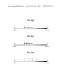 IMAGE PICKUP APPARATUS AND METHOD OF CONTROLLING THE SAME diagram and image